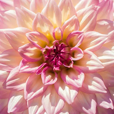 10月10日免费节点分享|21M/S，Clash节点/V2ray节点/Singbox节点/SSR节点|免费上网梯子每天更新
